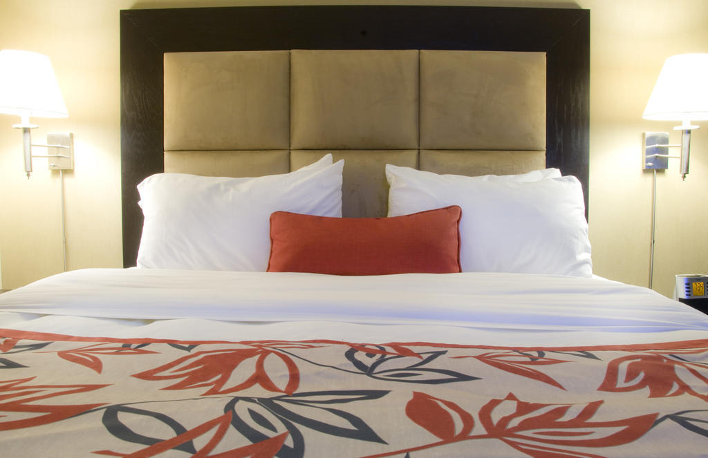 Ramada Plaza Crystal Palace Dieppe Phòng bức ảnh